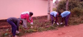 COMMUNITY CLEANING PROGRAM